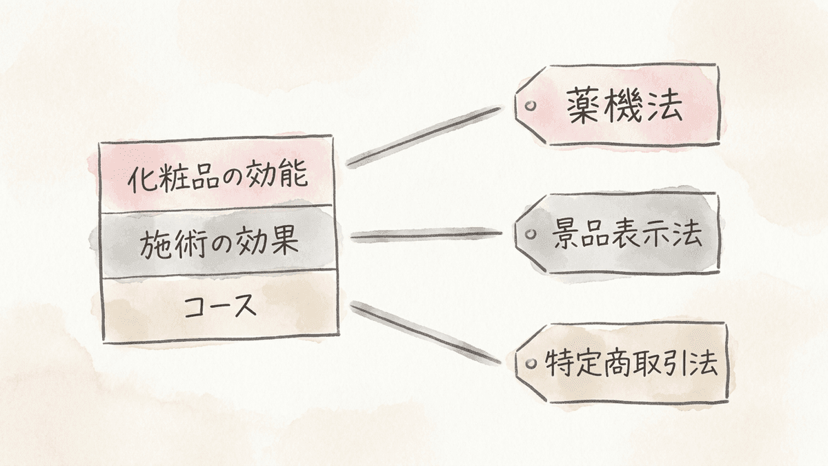 施術ページで効果を書くときに、書く内容ごとに関わる3つの法律を示した図